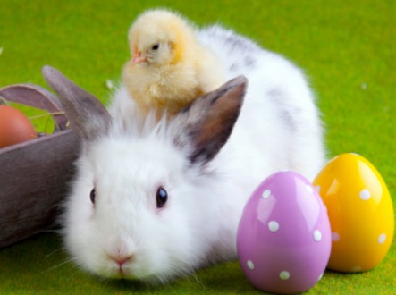 Easter | Jobs Maidstone | Earlstreet Employment Consultants