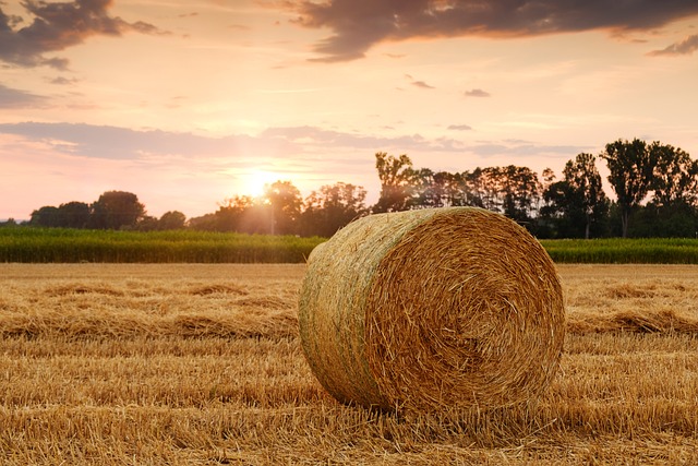 Hay bales in a field | Jobs in the Southeast